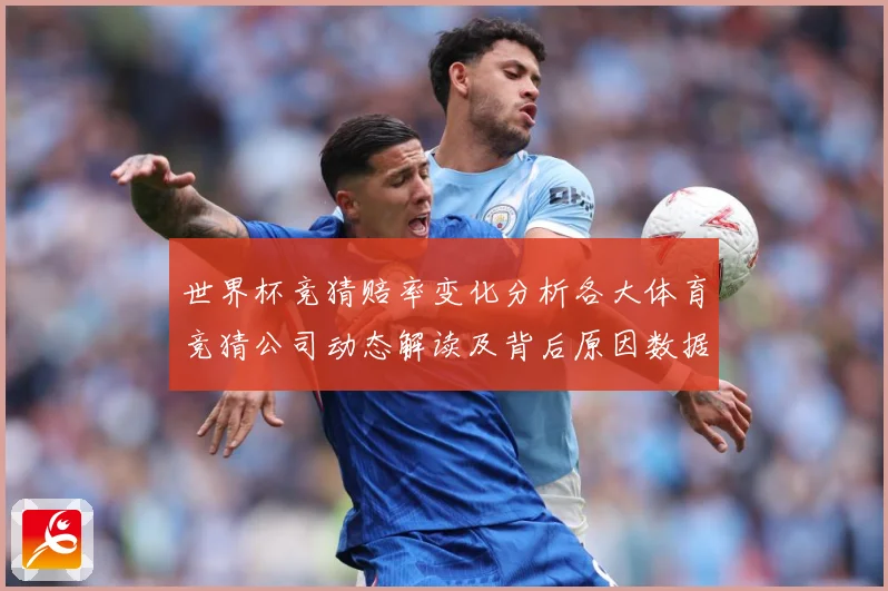 世界杯竞猜赔率变化分析各大体育竞猜公司动态解读及背后原因数据研判-深度解析